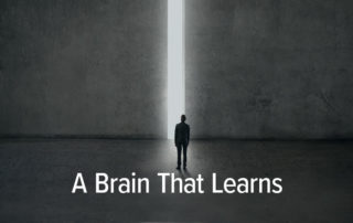 a brain that learns