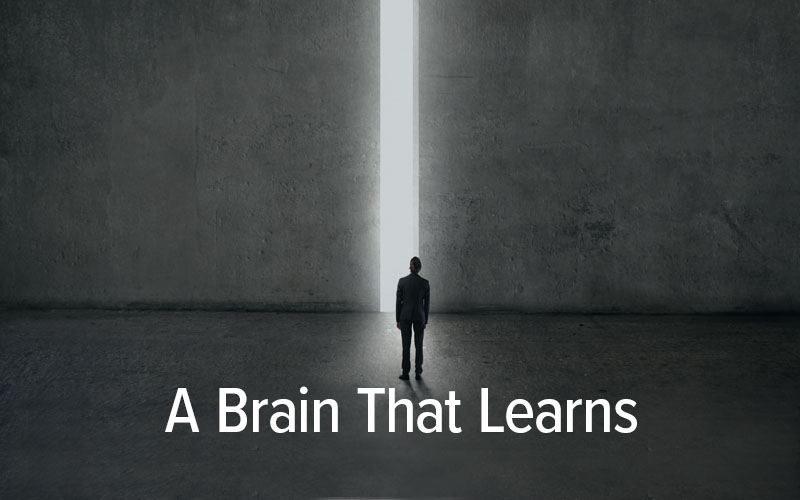 a brain that learns