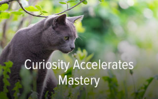 Curiosity Accelerates Mastery