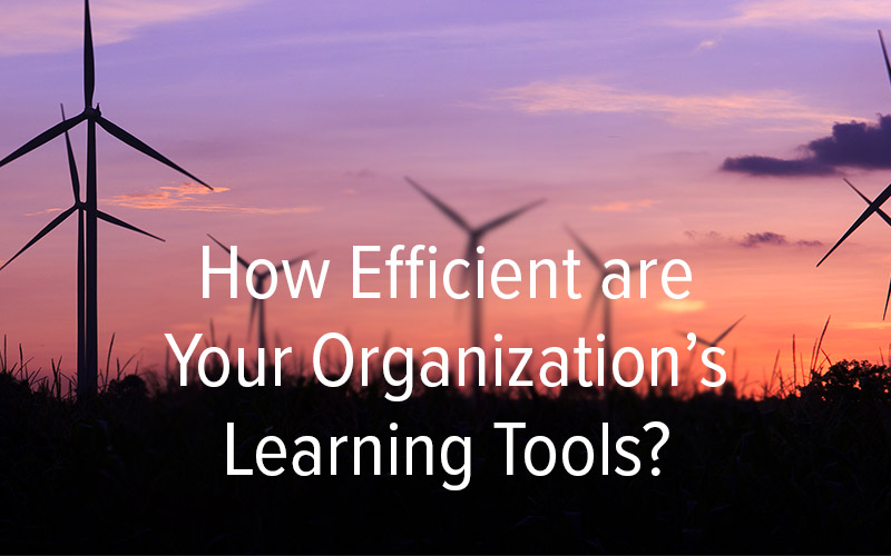 How Efficient are Your Organizations Learning Tools?
