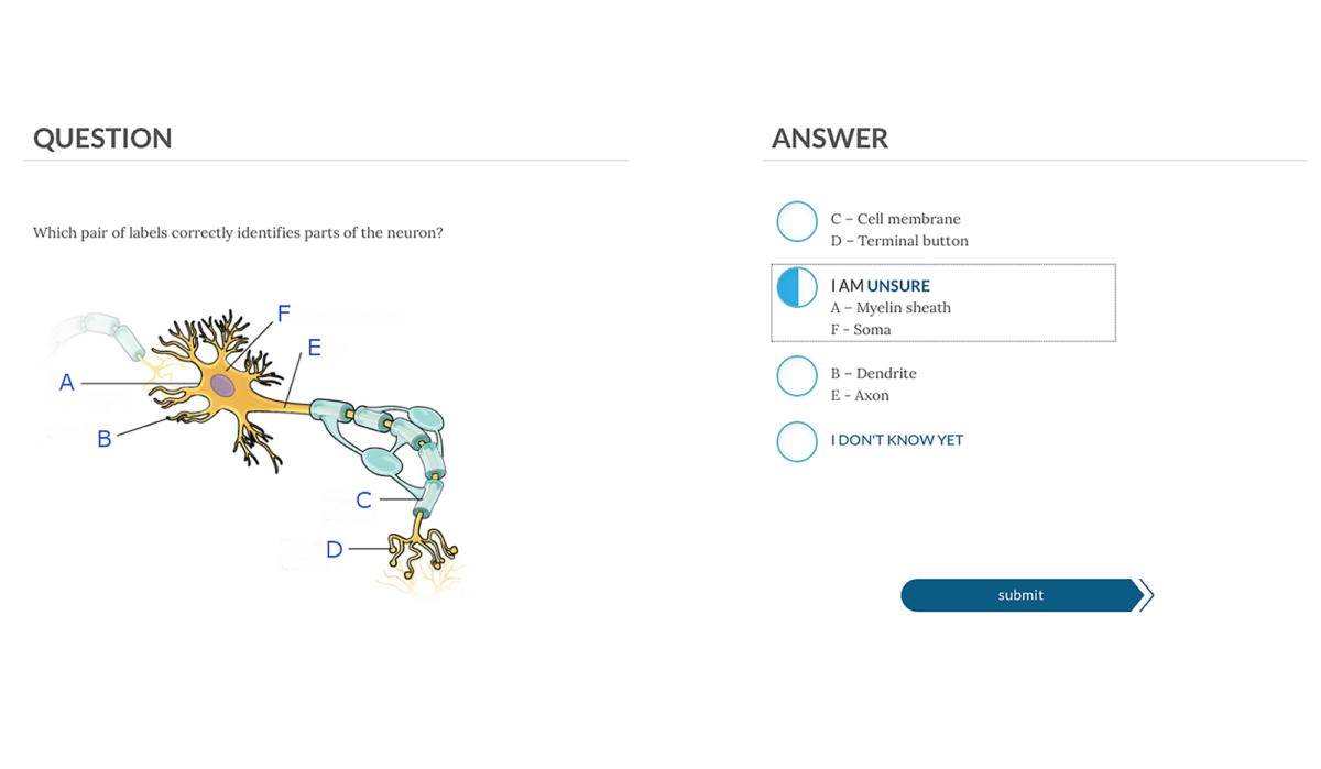 Metacognition How to Learn Better by Thinking About What You Know